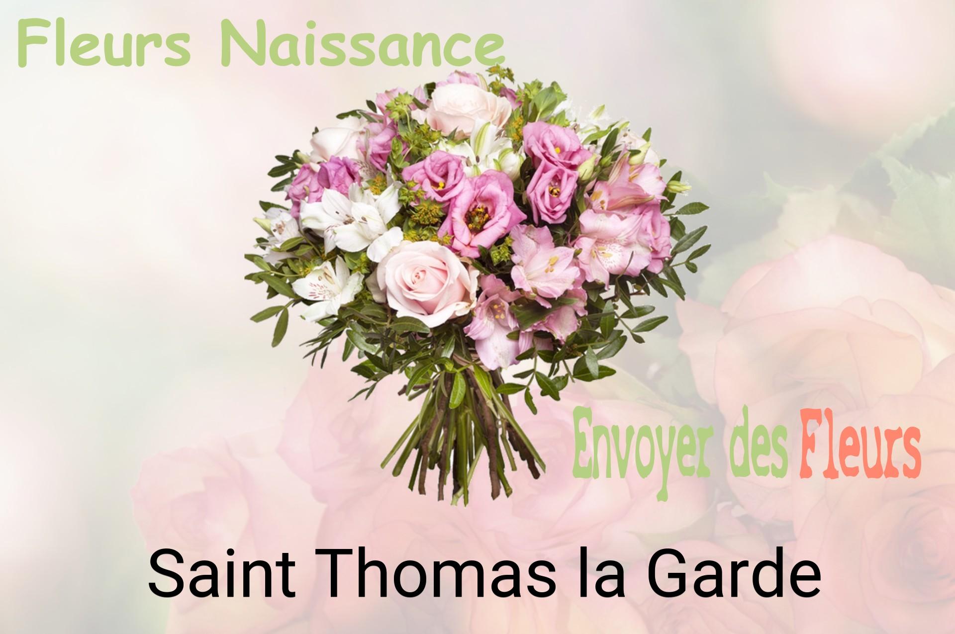 Bouquet de fleurs de naissance livré à Saint-Thomas-la-Garde